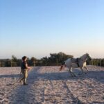 Costa Alentejana: Horse tour in Serra de Grândola - Exploring the Scenic Route: An In-Depth Look at the Itinerary