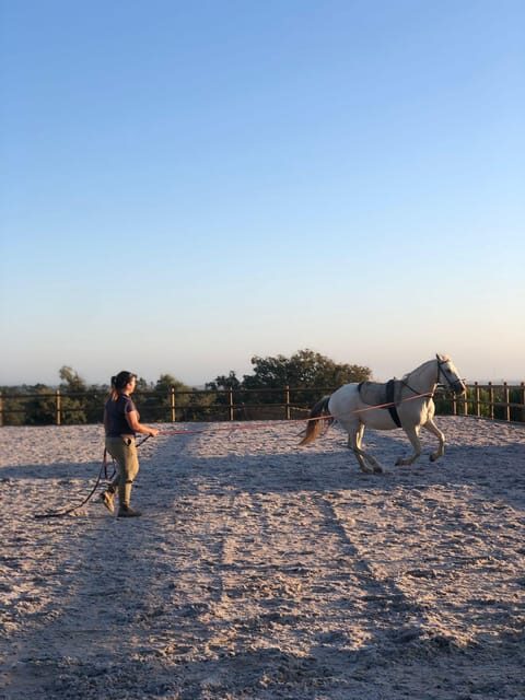 Costa Alentejana: Horse tour in Serra de Grândola - Exploring the Scenic Route: An In-Depth Look at the Itinerary