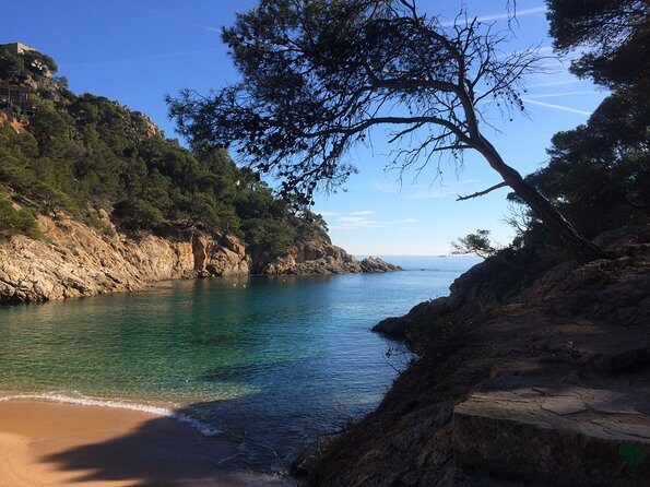 Costa Brava Scenic Hike & Tossa de Mar Small Group Tour - The Walk Along Costa Bravas Coastline