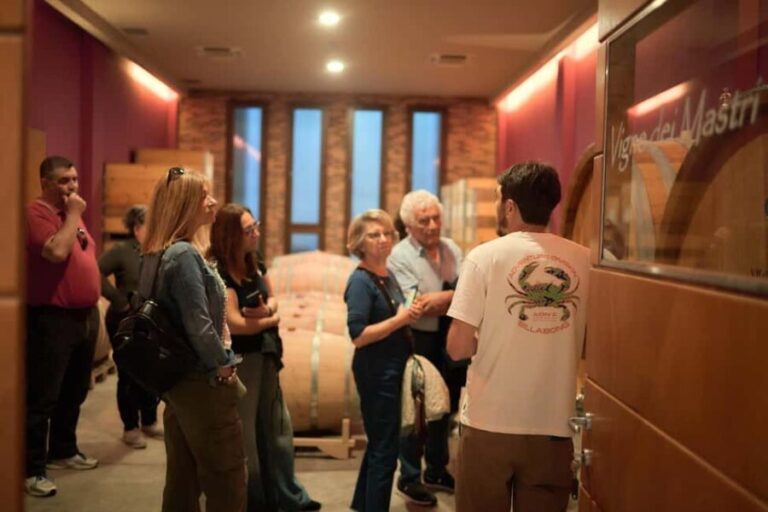 Costigliole d'Asti: Cellar tour and tasting - A Detailed Look at the Experience