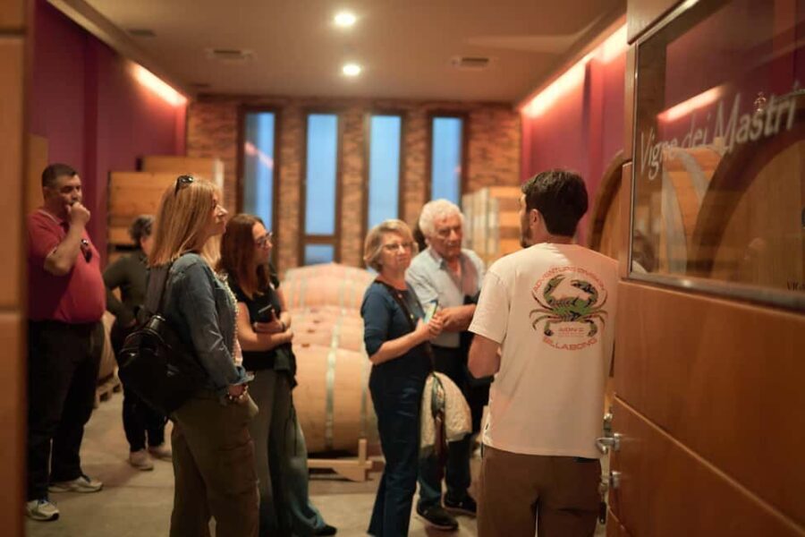 Costigliole d'Asti: Cellar tour and tasting - A Detailed Look at the Experience