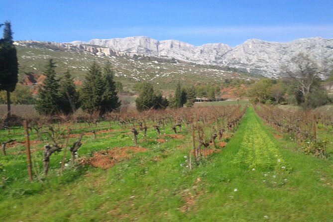 Cotes de Provence Wine Tour from Aix-en-Provence - FAQ: Your Questions About the Cotes de Provence Wine Tour