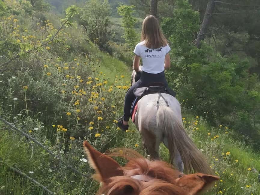 Countryside Horseback Ride in Gjinofshat - The Itinerary: What to Expect