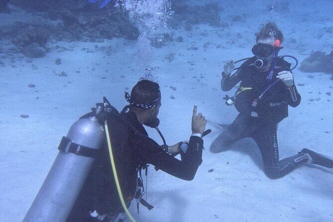 Course for Padi OW in Red Sea and Sinai - Value for Money and Additional Costs