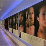 Cradle of Humankind and Lion and Safari Park Tour from Johannesburg or Pretoria - Practical Aspects and Value