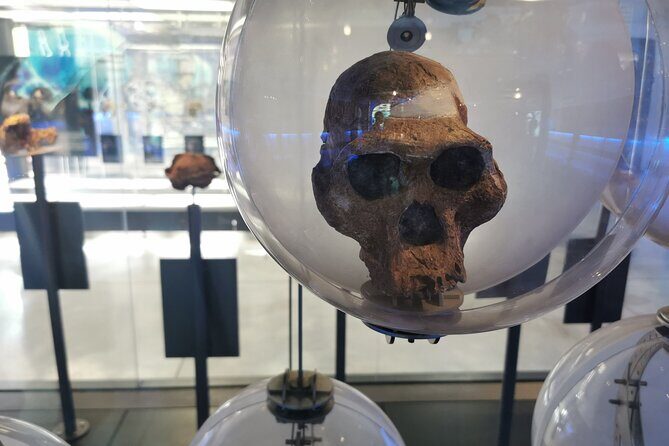 Cradle of Humankind, Caves or Maropeng, Rhino and Lion Park - Highlights of the Tour