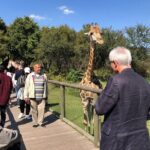 Cradle of Humankind Tour with Lion Safari from Johannesburg - Who Will Love This Tour?