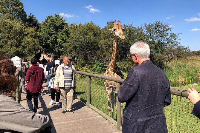 Cradle of Humankind Tour with Lion Safari from Johannesburg - Who Will Love This Tour?