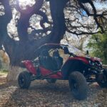 Crete: Buggy Safari with Lunch - FAQ