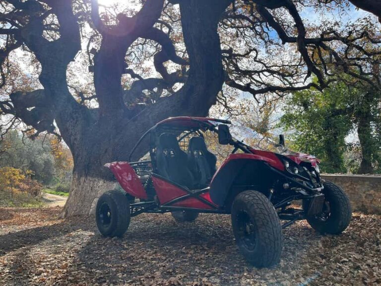 Crete: Buggy Safari with Lunch - FAQ