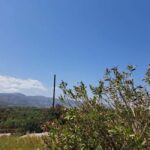 Crete: Malia, Potamos Beach, and Sissi Tuk Tuk Tour - What to Expect: From the Scenic to the Historic