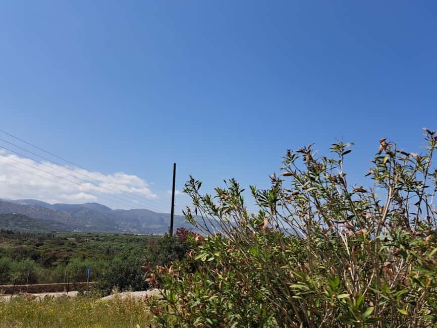 Crete: Malia, Potamos Beach, and Sissi Tuk Tuk Tour - What to Expect: From the Scenic to the Historic