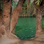 Crete: Preveli Tropical Beach and Palm Forest - What Makes This Tour Stand Out