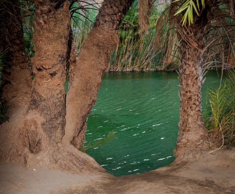 Crete: Preveli Tropical Beach and Palm Forest - What Makes This Tour Stand Out