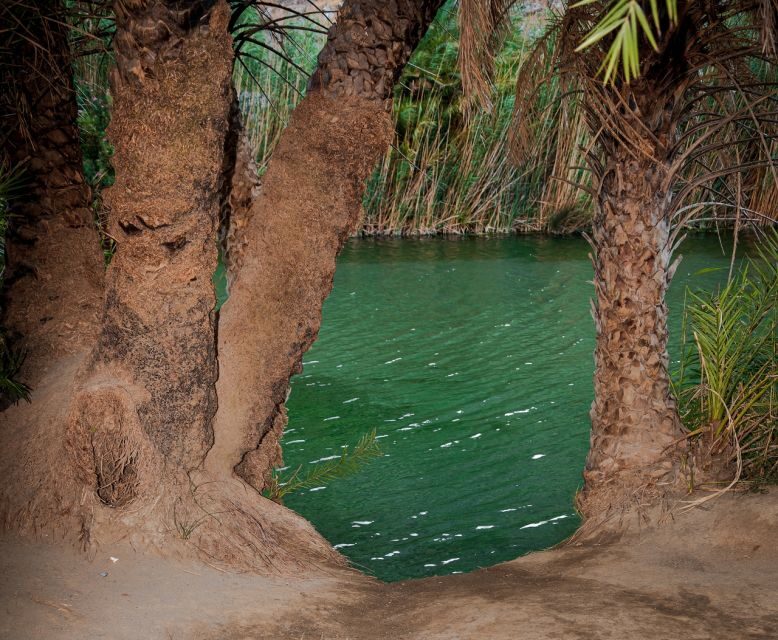 Crete: Preveli Tropical Beach and Palm Forest - What Makes This Tour Stand Out