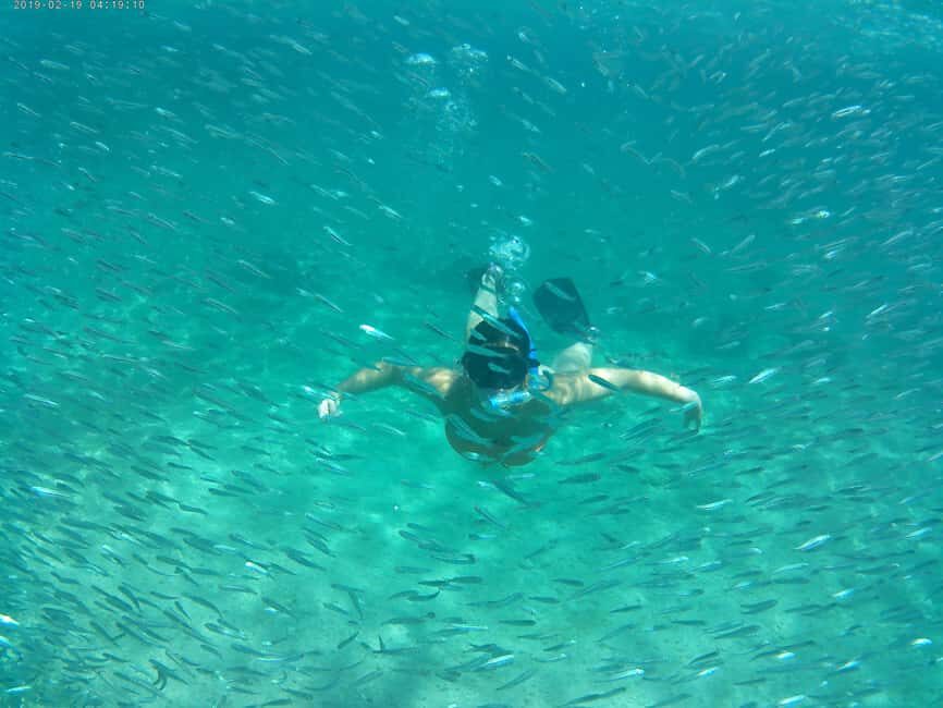 Crete: Snorkel Cretes Hidden Coves by Boat - The Drawbacks and Considerations