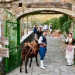 Crete: Traditional Cretan Night: Live Show and Dinner - Pricing and Value Analysis