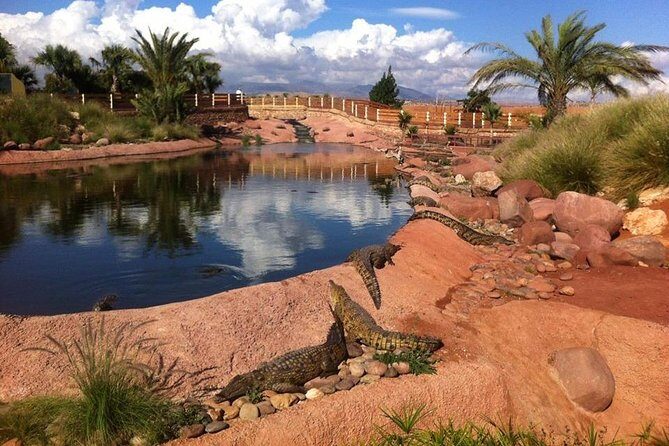 Croco & Anaconda parc Agadir - Authentic Experiences and Reviewer Insights