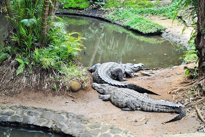 Crocodile Nature Park - The Itinerary in Detail: What You Can Expect