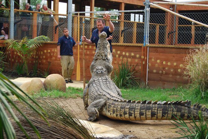Crocodiles Park Ticket With Transfers - The Experience: What You Can Expect