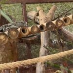 Crocoparc Trip from Agadir - How the Experience Holds Up for Different Visitors
