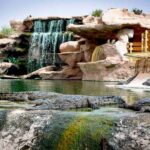 CrocoPark Visit (Transport included) - The Transport and Convenience