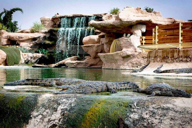 CrocoPark Visit (Transport included) - The Transport and Convenience