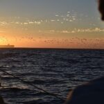 Cruise and Dine Dinner / Cape Town: Sunset Champagne Cruise and 3-Course Dinner - Who Is This Tour Best For?