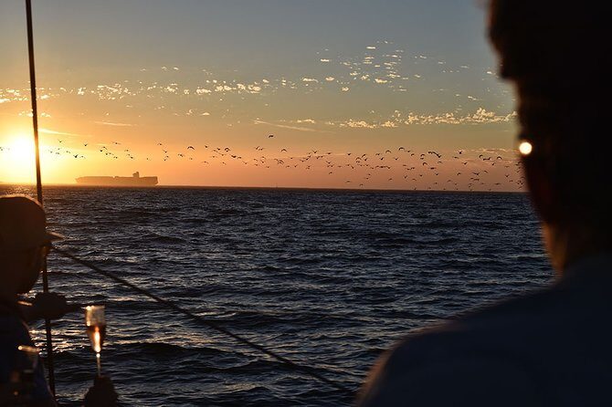 Cruise and Dine Dinner / Cape Town: Sunset Champagne Cruise and 3-Course Dinner - Who Is This Tour Best For?