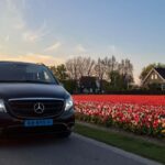 Cruise Terminal Rotterdam: Private Tour by Luxury Van - The Flexibility of Duration and Customization