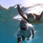 Cruises to Daymaniyat & Snorkeling - Pricing & Value: Is It Worth It?