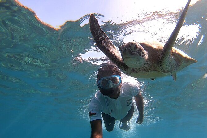 Cruises to Daymaniyat & Snorkeling - Pricing & Value: Is It Worth It?