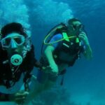 Daily 2 Dives with Equipment from Hurghada - Equipment and Guides: What’s Provided and What to Expect?
