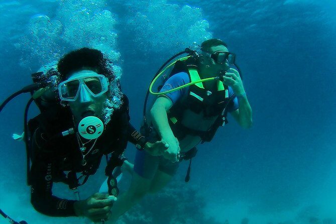 Daily 2 Dives with Equipment from Hurghada - Equipment and Guides: What’s Provided and What to Expect?