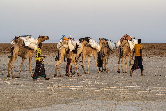 Danakil Depression 3 Days trip - The Sum Up