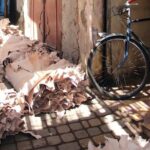 Danis Authentic Medina Walking Tour - The Sum Up