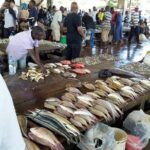 Dar es salaam City Tour - Transportation and Group Size