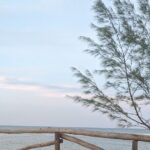 Dar Es Salaam city tour and night life - The Sum Up