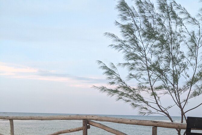 Dar Es Salaam city tour and night life - The Sum Up