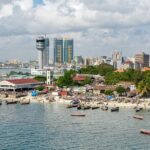 Dar es salaam Private City Tour with Professional Guide - What’s Included and How to Make the Most of It