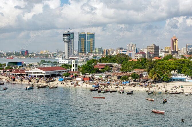 Dar es salaam Private City Tour with Professional Guide - What’s Included and How to Make the Most of It
