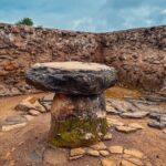 Day Adventure to Mole Park, Larabanga Mosque & Mystic Stone - Whats Included & Whats Not