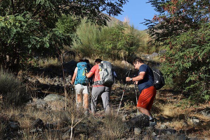 Day Excursion in the Atlas mountains - Authentic Insights from Past Travelers
