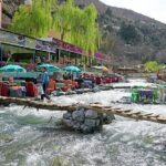 Day Excursion to Atlas Mountains from Marrakech - Who Should Consider This Tour?