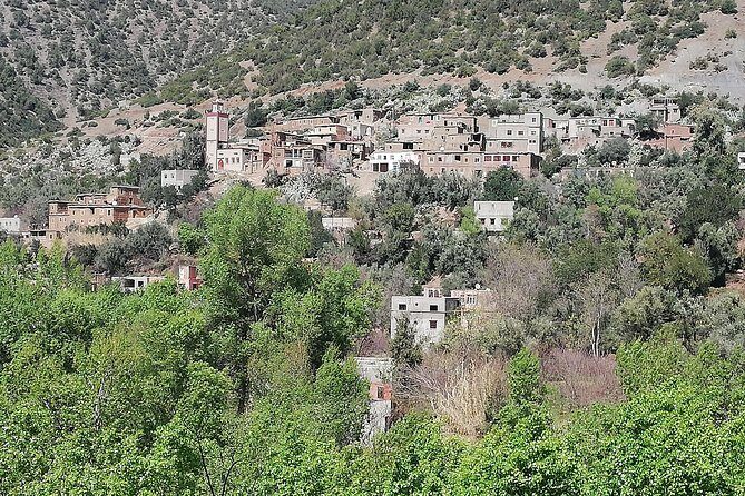 Day Excursion To Ourika Valley and High Atlas From Marrakech: Shared - Transportation and Group Size