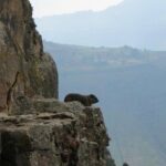 Day Hike Around Lalibela - Authentic Experiences and Why This Tour Matters