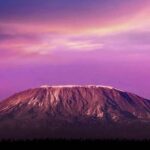 Day Hike to Mount Kilimanjaro (Mandara Hut) - The Experience from a Travel Perspective