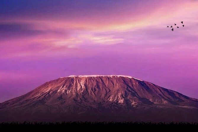 Day Hike to Mount Kilimanjaro (Mandara Hut) - The Experience from a Travel Perspective