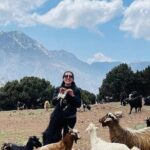 Day Hiking To Tawdja Summit in the Atlas Mountain - Practical Tips for Your Tawdja Summit Hike