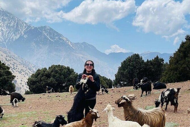 Day Hiking To Tawdja Summit in the Atlas Mountain - Practical Tips for Your Tawdja Summit Hike